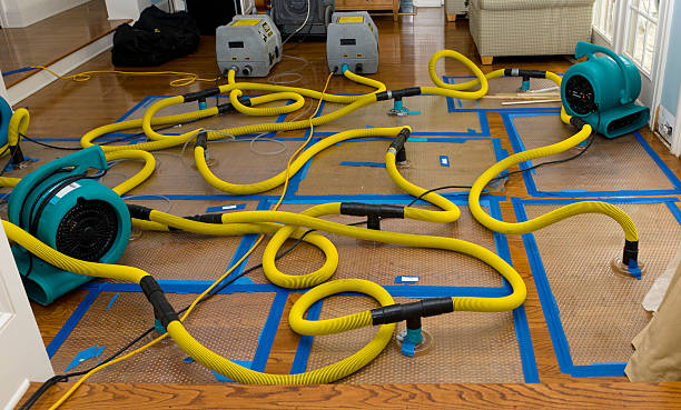 Professional Water Damage Restoration technician working in Peaks Island, ME